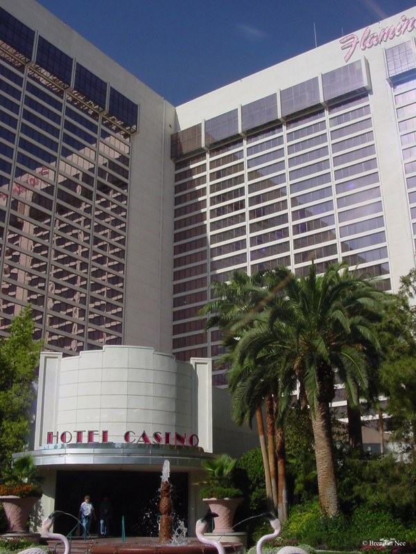 Flamingo - Las Vegas 8-02 007